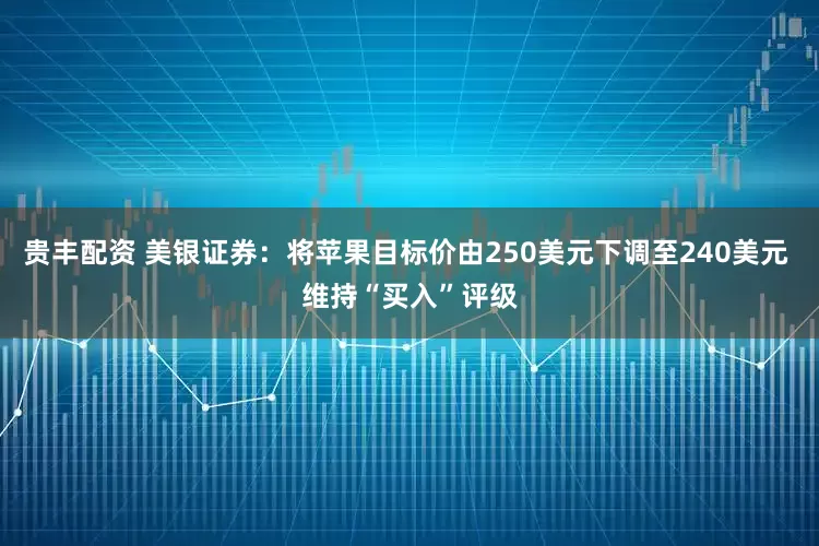 贵丰配资 美银证券：将苹果目标价由250美元下调至240美元 维持“买入”评级